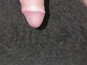 I push the penis plug upside down into my cock